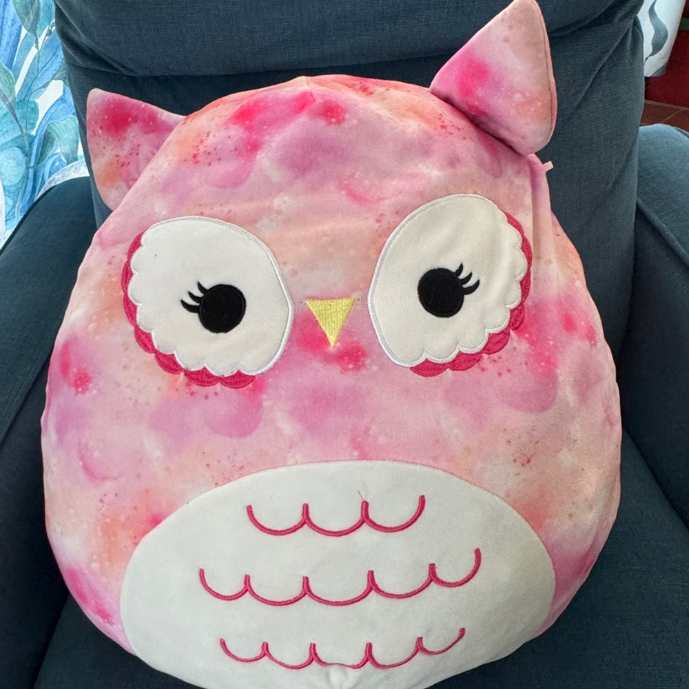 Owl Squishmallow